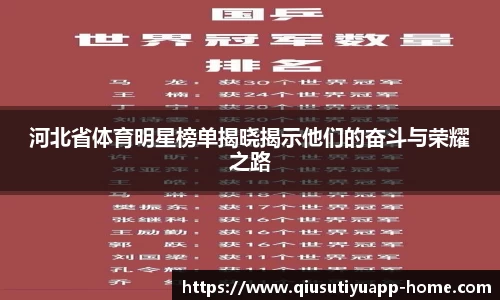 河北省体育明星榜单揭晓揭示他们的奋斗与荣耀之路